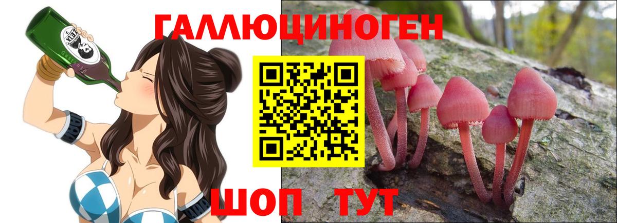 Псилоцибиновые грибы Psilocybe Северск